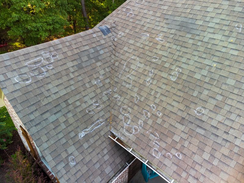 Asphalt Shingle Evaluation