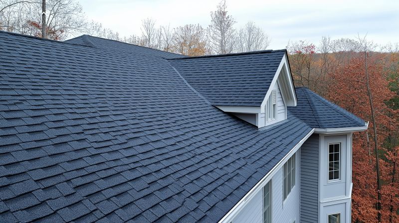 Asphalt Shingle Evaluation