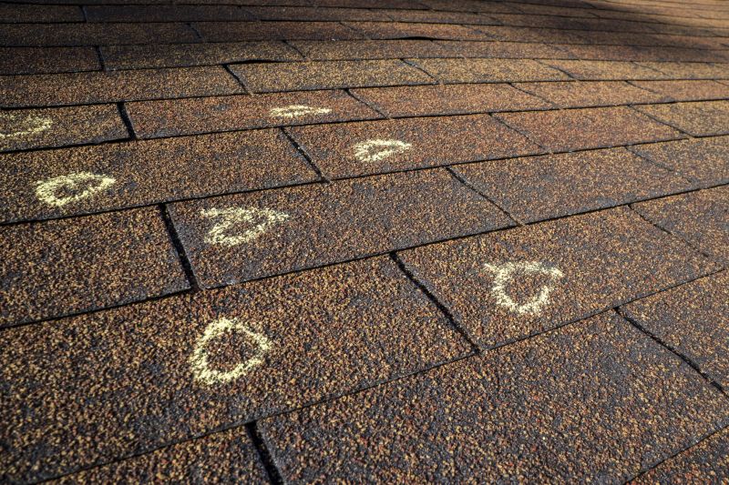 Asphalt Shingle Evaluation