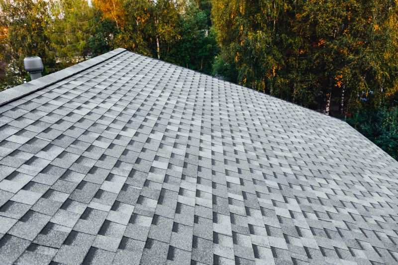 Asphalt Shingle Evaluation